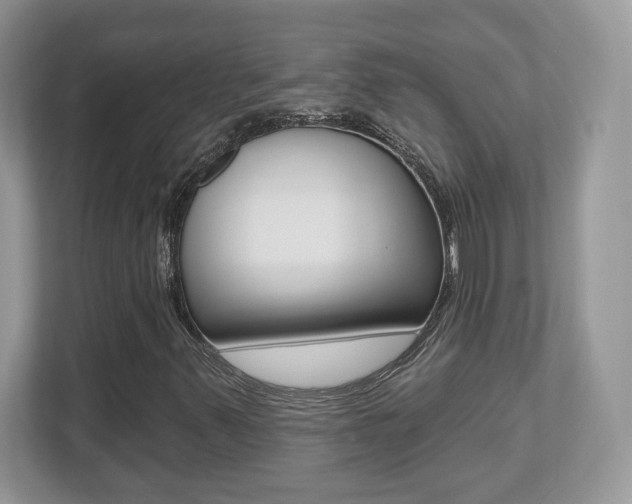 X0000112541347200908171157
