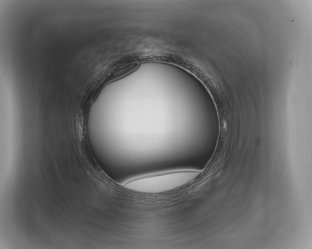 X0000112541348200908171157