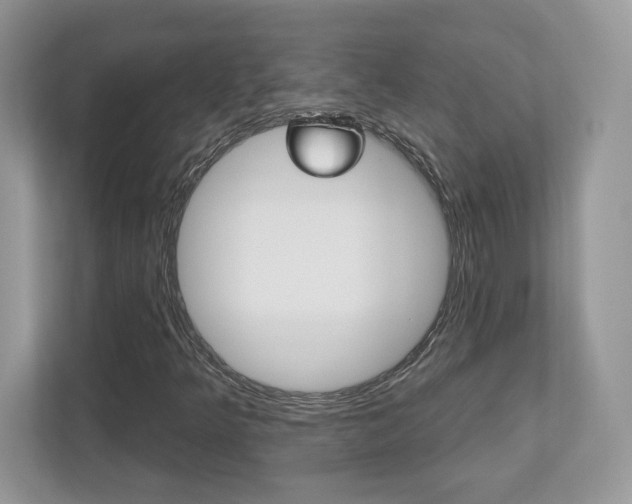 X0000112541349200908171157