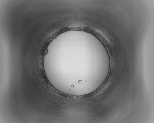 X0000112541350200908171157