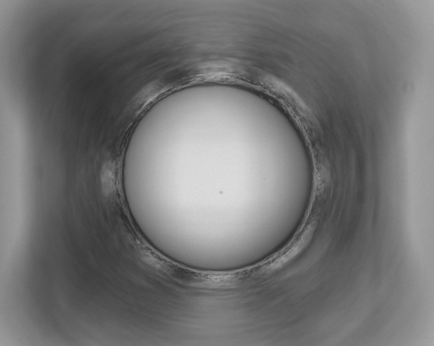 X0000112541353200908171157