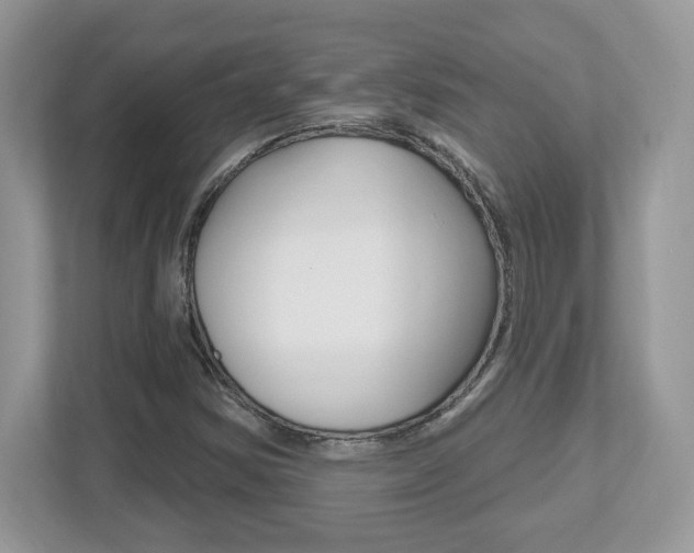 X0000112541354200908171157