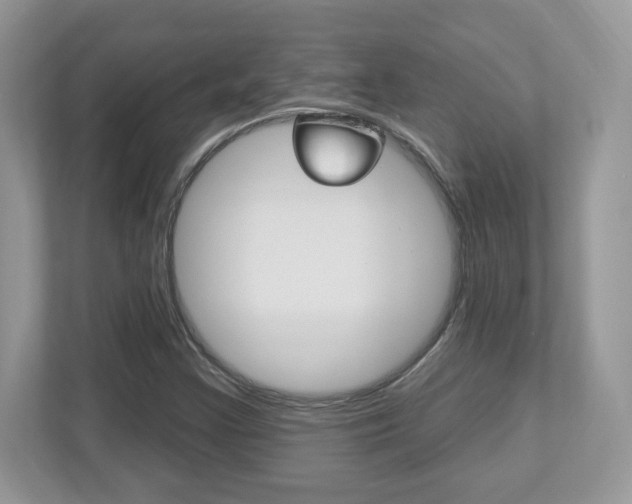 X0000112541355200908171157