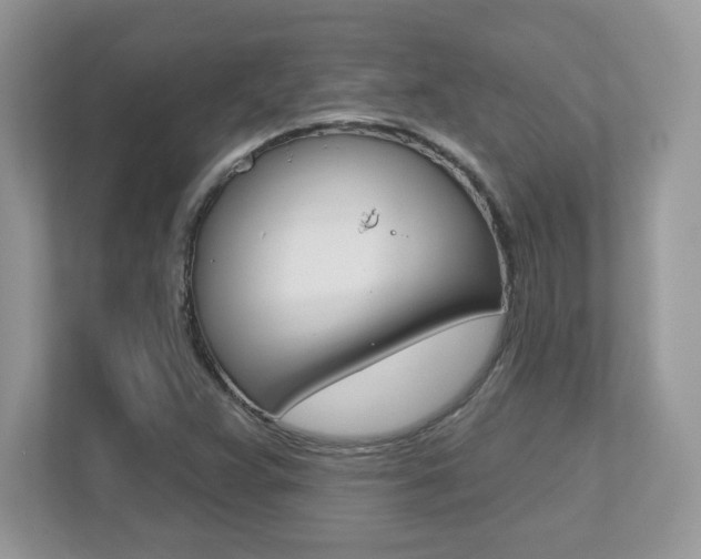 X0000112541359200908171157