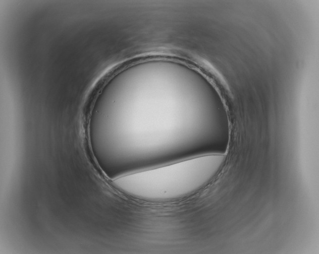 X0000112541360200908171157