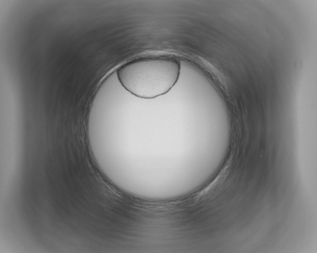 X0000112541361200908171157