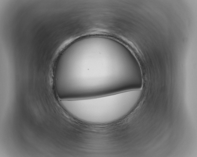 X0000112541363200908171157
