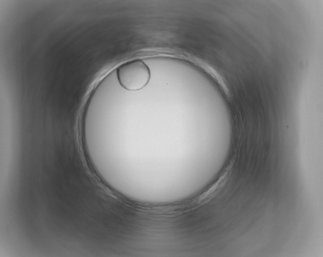 X0000112541365200908171157