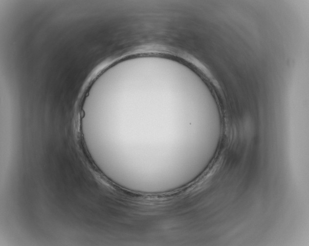 X0000112541366200908171157