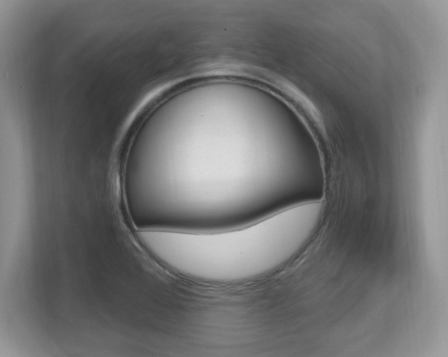 X0000112541368200908171157