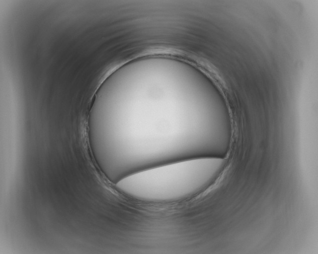 X0000112541369200908171157