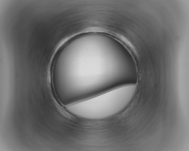 X0000112541372200908171157