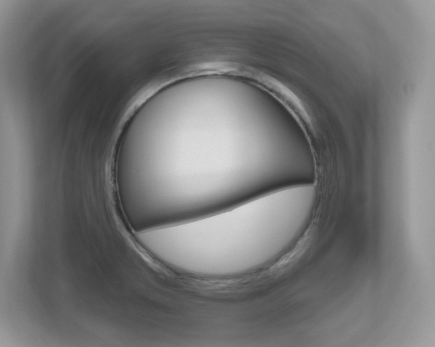 X0000112541373200908171157