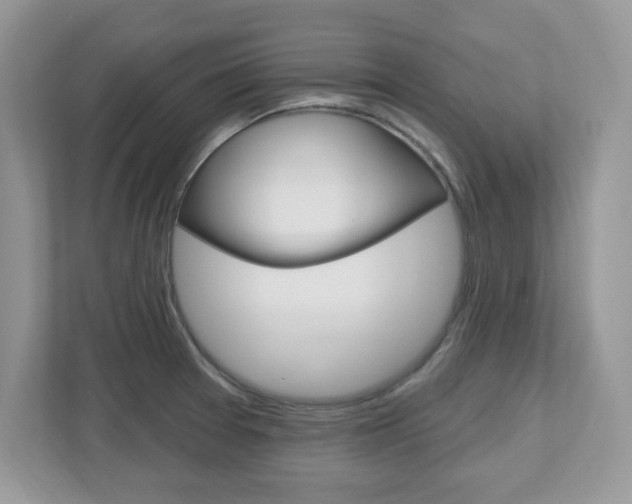X0000112541377200908171157