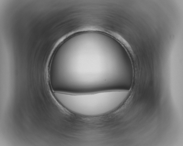 X0000112541380200908171157