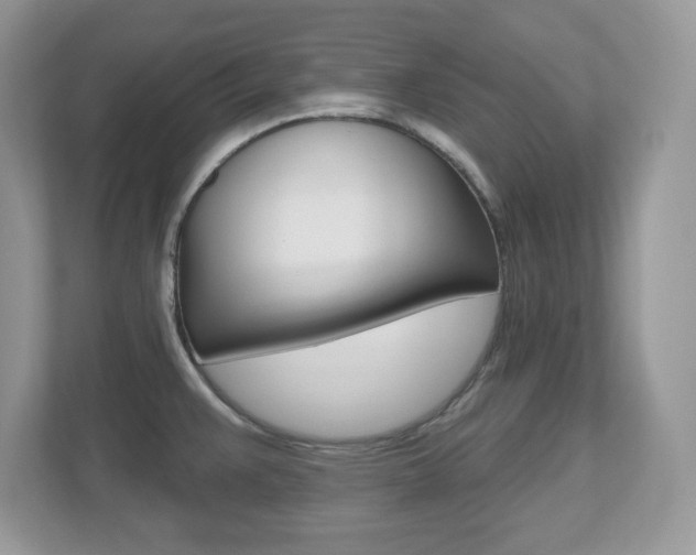 X0000112541383200908171156