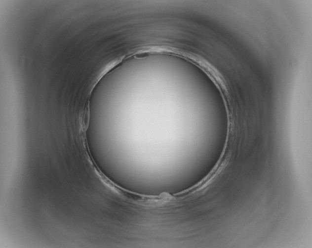 X0000112541385200908171156