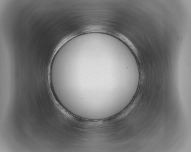 X0000112541386200908171156