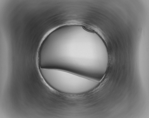 X0000112541387200908171156