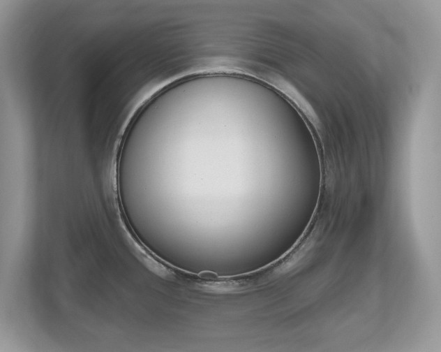 X0000112541388200908171156