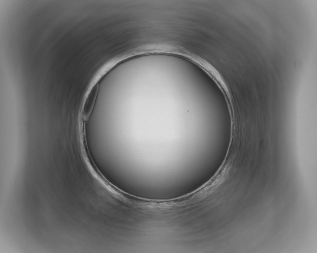 X0000112541389200908171156