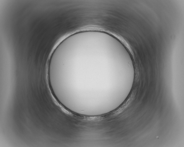 X0000112541390200908171156