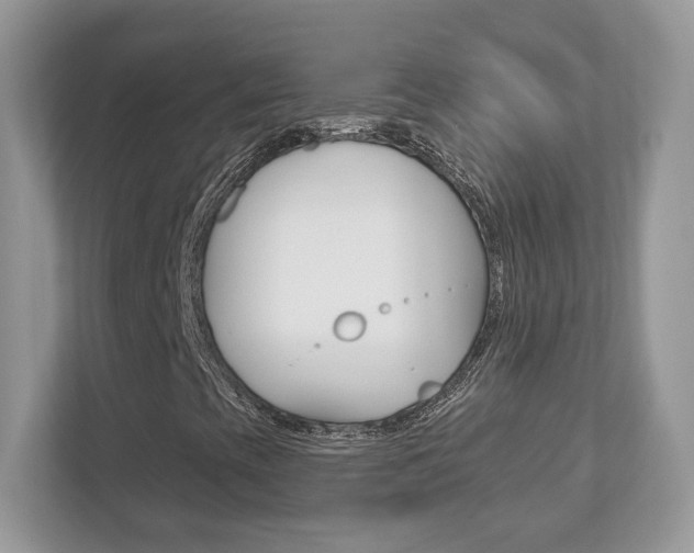 X0000112541393200908171156
