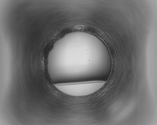 X0000112541394200908171156