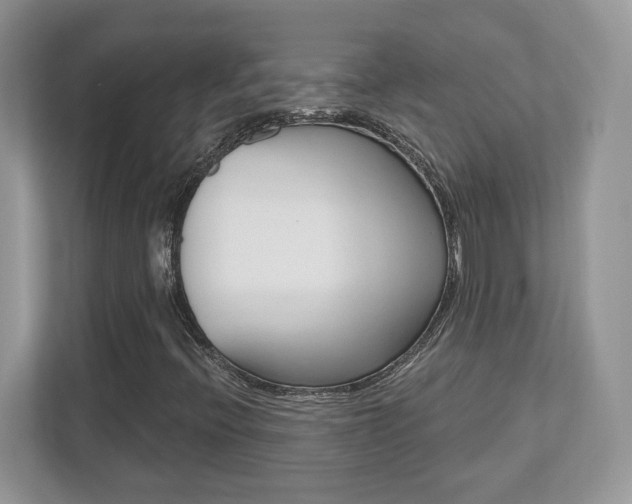 X0000112541396200908171156