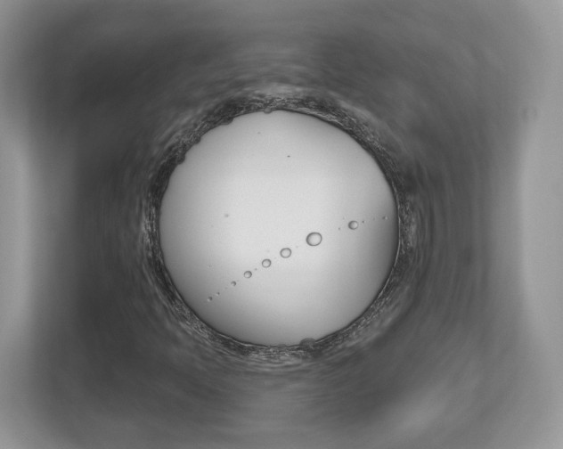X0000112541397200908171156