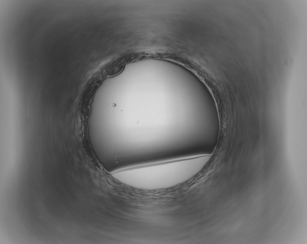 X0000112541398200908171156