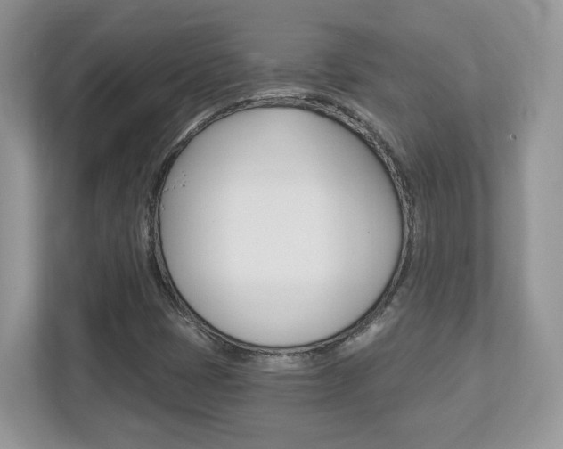 X0000112541401200908171156