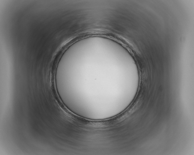 X0000112541402200908171156