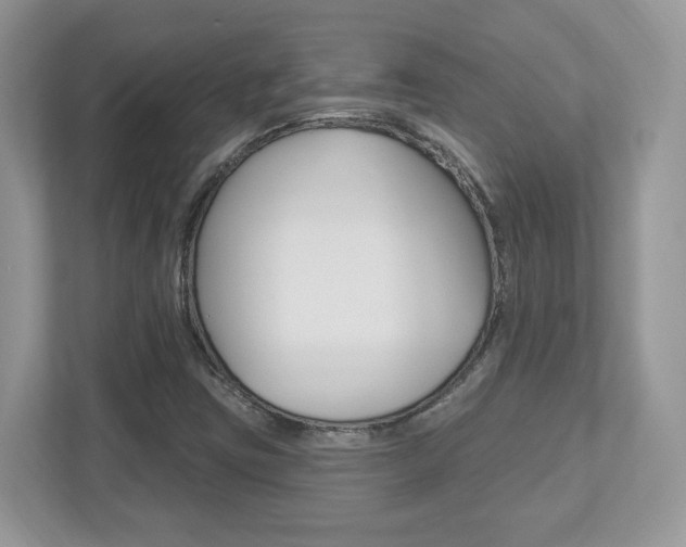 X0000112541403200908171156