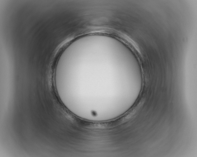 X0000112541411200908171156