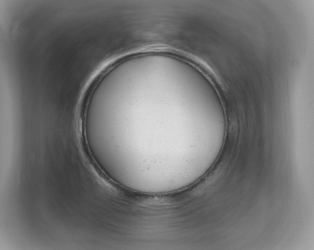 X0000112541414200908171156