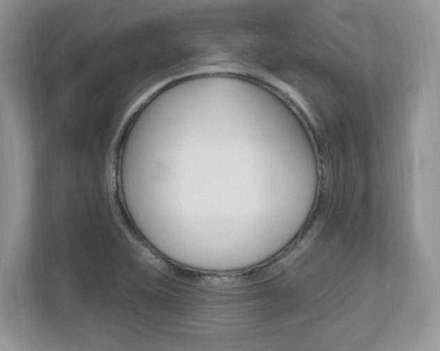 X0000112541415200908171156