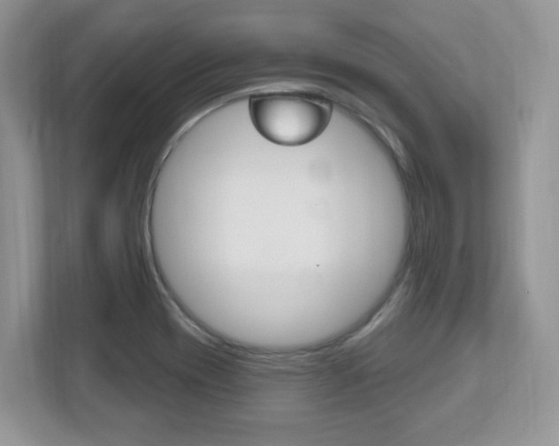X0000112541417200908171156