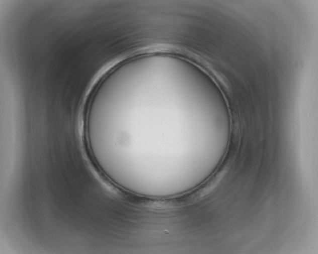 X0000112541418200908171156