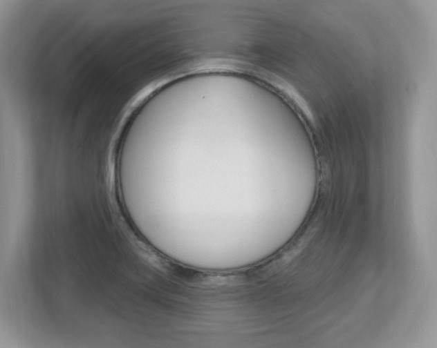 X0000112541419200908171156