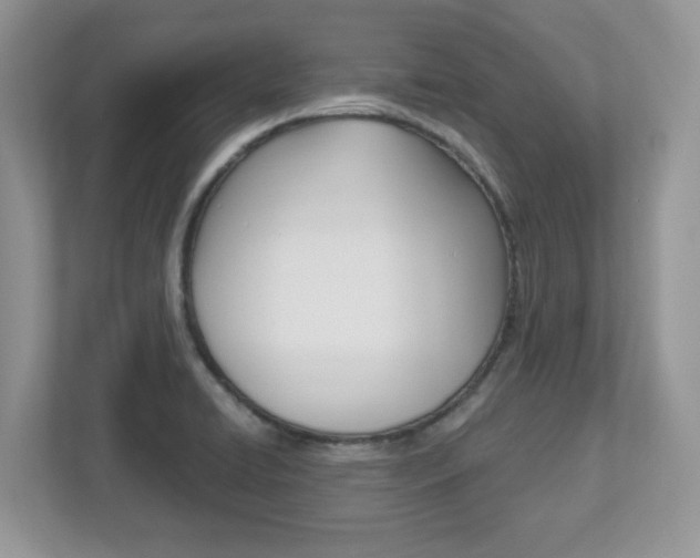 X0000112541422200908171156