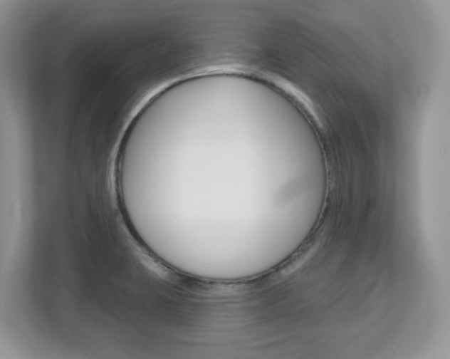 X0000112541423200908171156