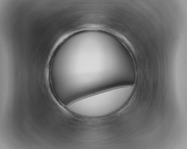 X0000112541424200908171156