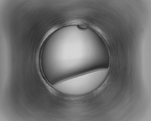 X0000112541426200908171156