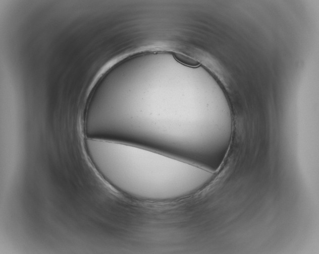 X0000112541428200908171156
