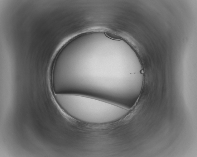X0000112541430200908171156