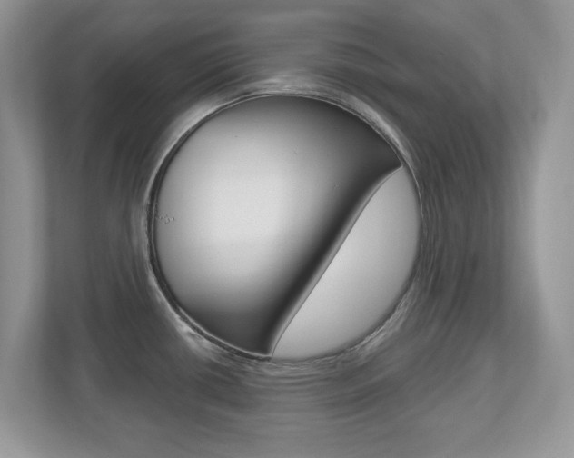 X0000112541434200908171156