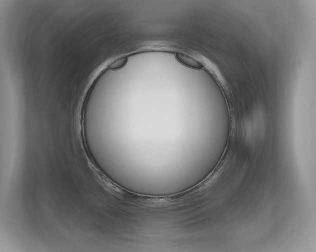 X0000112541435200908171156