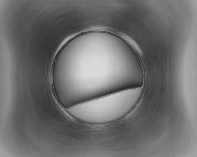 X0000112541436200908171156