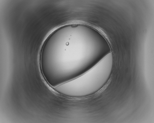 X0000112541438200908171156
